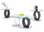 Coffee Table & End Table Combo